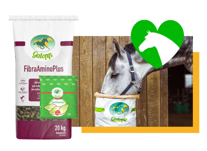 EQ Unsere Marken Galopp